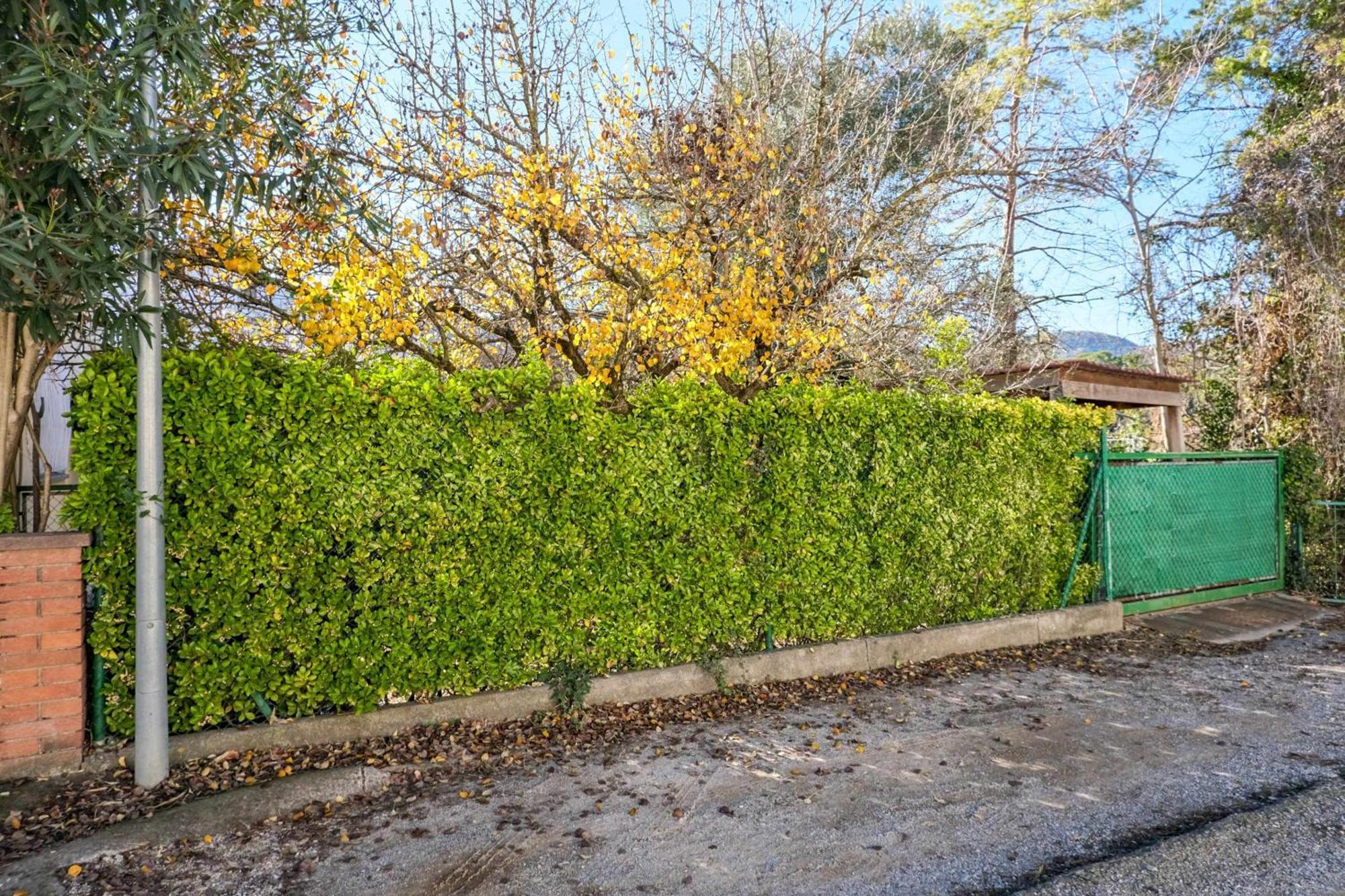 Can Camps Besalu Casa Planta Baja Con Jardin Luaran gambar